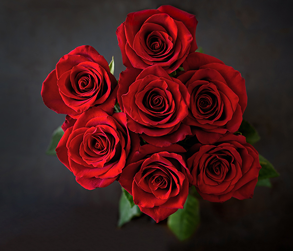 Punased roosid